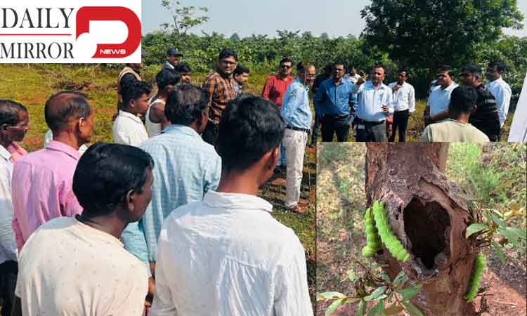 Tata Steel Becomes First Indian Firm to Clear IUCN Global Standard for Nature-based Solutions..