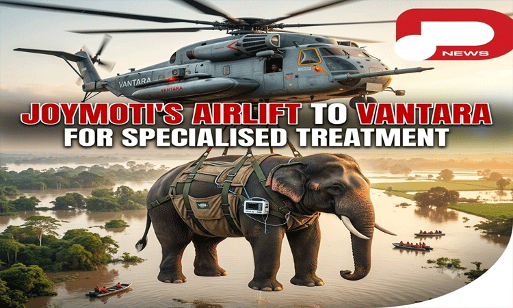 Flood-Rescued Elephant Joymoti Airlifted to Vantara for Specialised Treatment..
